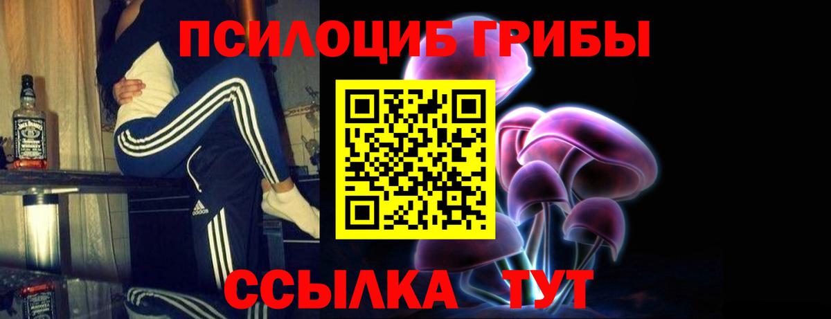 Ливны  Псилоцибиновые грибы мухоморы  Вход с VPN 