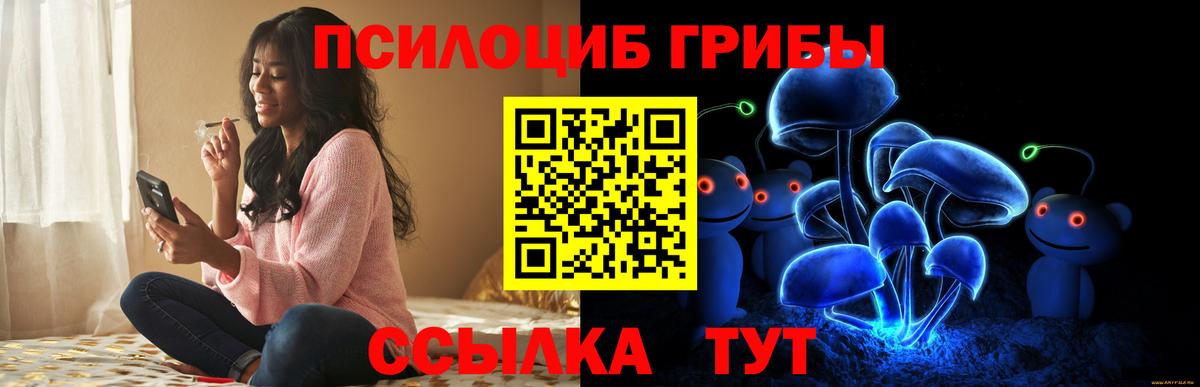 Галлюциногенные грибы Psilocybine cubensis Ливны
